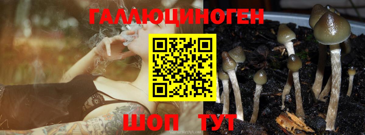 Галлюциногенные грибы ЛСД  Псилоцибиновые грибы мицелий  Учалы  Вход с VPN 